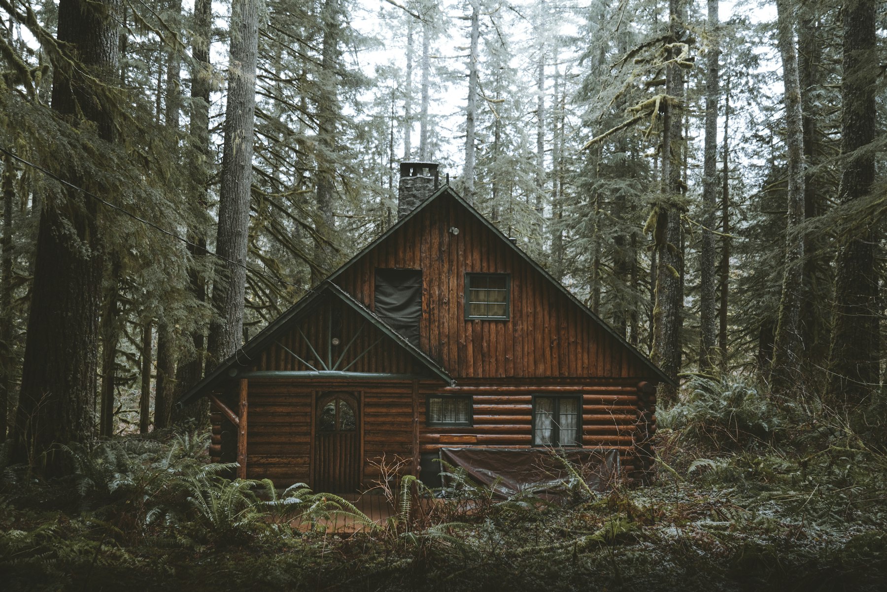 The lodge in the trees, cedar logs and a covered porch